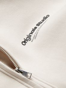 Jack & Jones Spausdintas raštas Užtrauktukas su gobtuvu -Moonbeam - 12241691