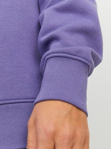 Jack & Jones Gedruckt Sweatshirt mit Rundhals -Twilight Purple - 12241694