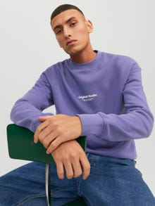 Jack & Jones Printed Crewn Neck Sweatshirt -Twilight Purple - 12241694