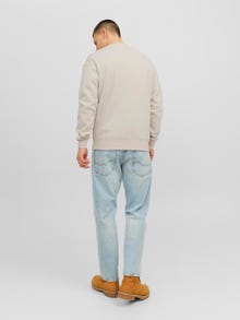 Jack & Jones Potištěný Mikina s kulatým výstřihem -Moonbeam - 12241694