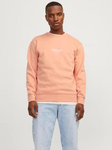 Jack & Jones Bedrukt Sweatshirt met ronde hals -Canyon Sunset - 12241694