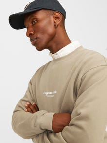 Jack & Jones Trükitud Meeskonnakaelusega higistamissärk -Silver Sage - 12241694