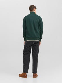 Jack & Jones Teksti Puolivetoketjullinen villapaita -Magical Forest - 12241777