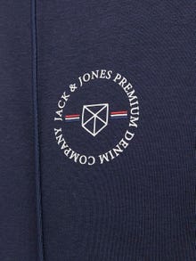 Jack & Jones Logo Zip Hoodie -Seaborne - 12241922