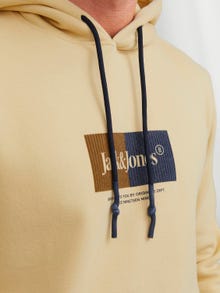 Jack & Jones Logo Mikina s kapucí -Reed Yellow - 12242197