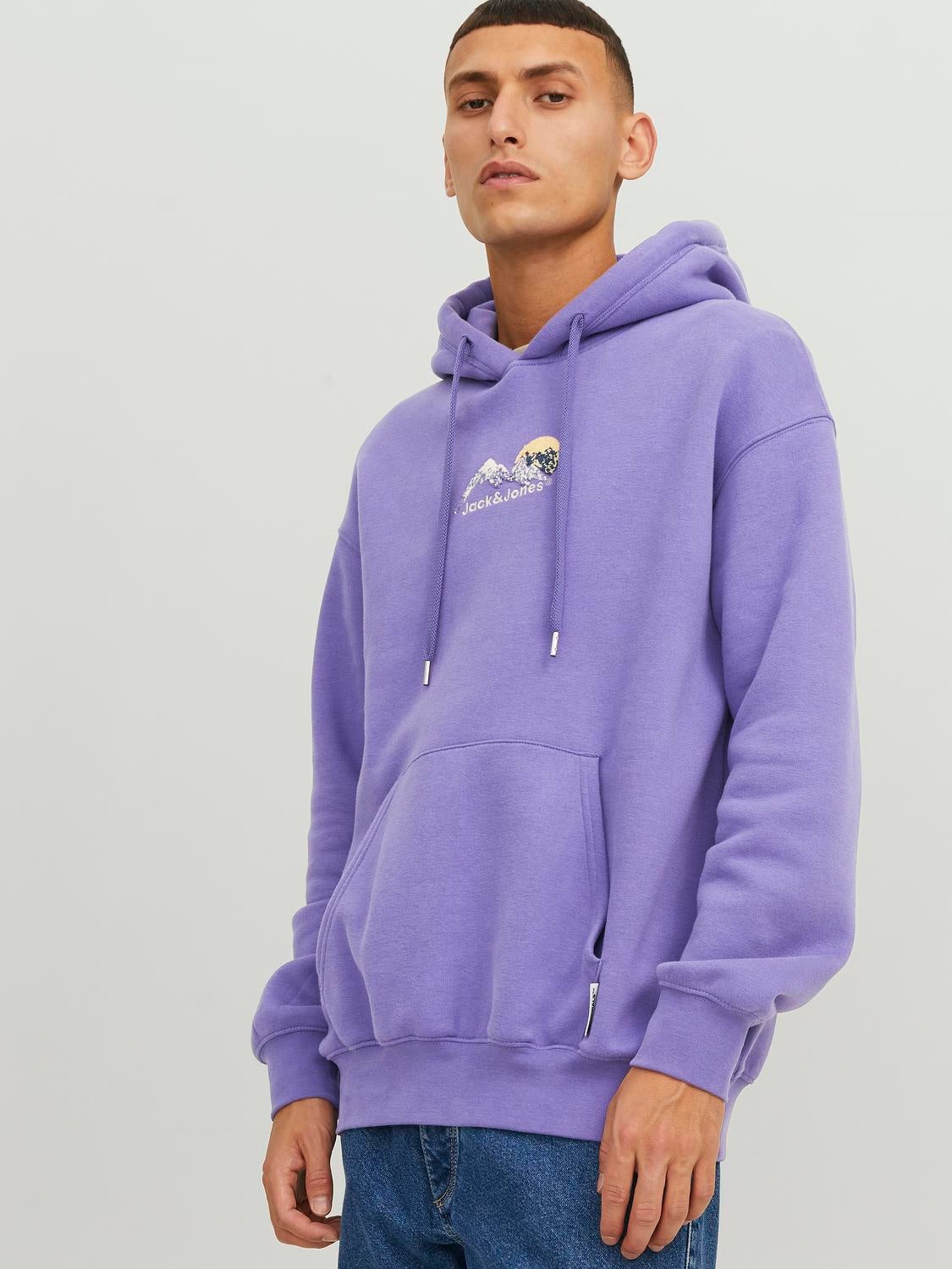 Jack & jones scott clearance hoodie mont