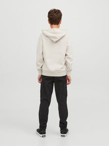 Jack & Jones Spausdintas raštas Džemperis Jaunimui -Moonbeam - 12242469