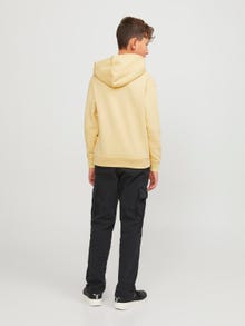 Jack & Jones Nyomott mintás Kapucnis felső Ifjúsági -Italian Straw - 12242469