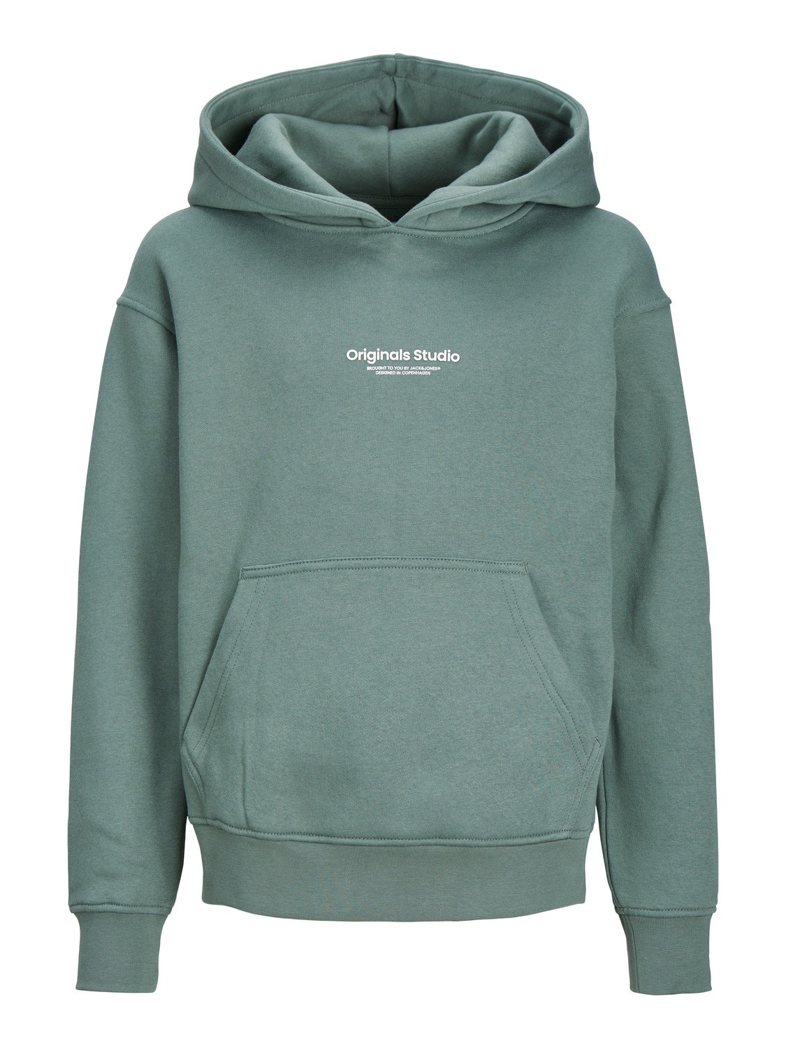 Jack & Jones Bedrukt Hoodie Voor jongens -Laurel Wreath - 12242469