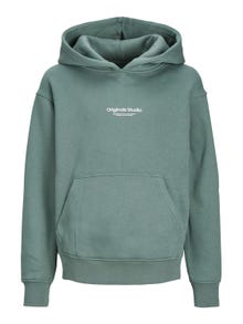 Jack & Jones Hoodie Estampar Para meninos -Laurel Wreath - 12242469