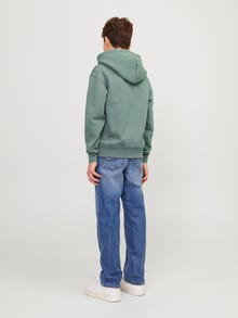 Jack & Jones Bedrukt Hoodie Voor jongens -Laurel Wreath - 12242469