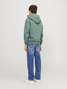 Jack & Jones Sudadera con capucha Estampado Para chicos -Laurel Wreath - 12242469