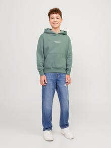 Jack & Jones Hoodie Estampar Para meninos -Laurel Wreath - 12242469