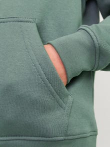 Jack & Jones Sweat à capuche Imprimé Pour les garçons -Laurel Wreath - 12242469