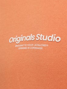 Jack & Jones Spausdintas raštas Megztinis su gobtuvu For boys -Canyon Sunset - 12242469