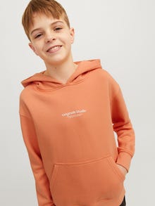 Jack & Jones Printed Hoodie For boys -Canyon Sunset - 12242469