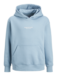 Jack & Jones Printed Hoodie For boys -Mountain Spring - 12242469