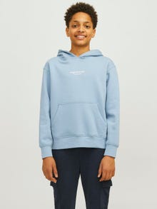 Jack & Jones Printed Hoodie For boys -Mountain Spring - 12242469