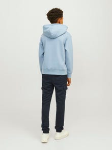 Jack & Jones Printet Hættetrøje Til drenge -Mountain Spring - 12242469