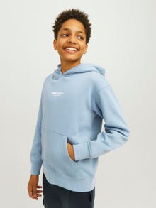 Jack & Jones Printed Hoodie For boys -Mountain Spring - 12242469