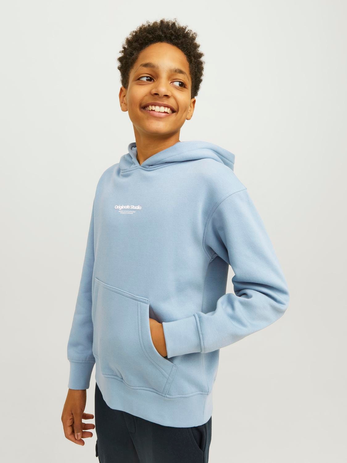 Jack & Jones Printed Hoodie For boys -Mountain Spring - 12242469