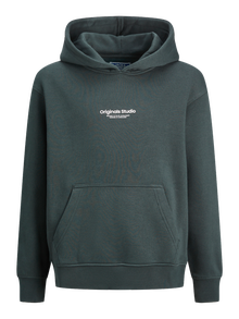 Jack & Jones Hoodie Estampar Para meninos -Forest River - 12242469