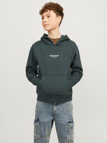 Jack & Jones Poikien Painettu Huppari -Forest River - 12242469