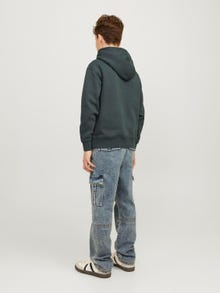 Jack & Jones Hoodie Estampar Para meninos -Forest River - 12242469