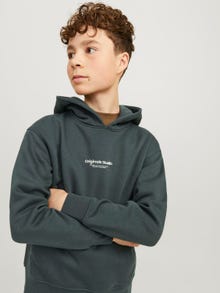 Jack & Jones Hoodie Estampar Para meninos -Forest River - 12242469