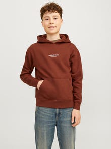 Jack & Jones Printed Hoodie For boys -Brandy Brown - 12242469