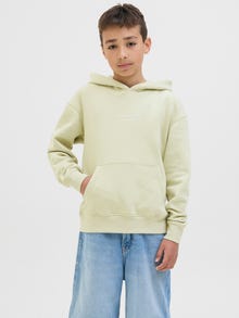 Jack & Jones Spausdintas raštas Džemperis Jaunimui -Celadon Tint - 12242469