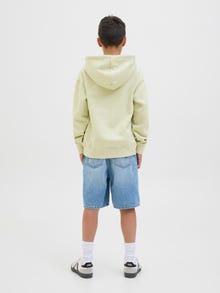 Jack & Jones Spausdintas raštas Džemperis Jaunimui -Celadon Tint - 12242469