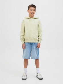 Jack & Jones Spausdintas raštas Džemperis Jaunimui -Celadon Tint - 12242469