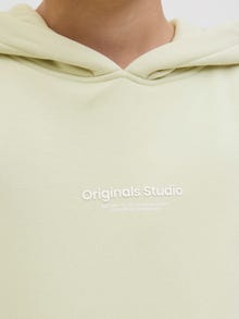 Jack & Jones Spausdintas raštas Džemperis Jaunimui -Celadon Tint - 12242469