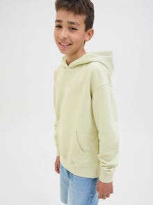 Jack & Jones Spausdintas raštas Džemperis Jaunimui -Celadon Tint - 12242469