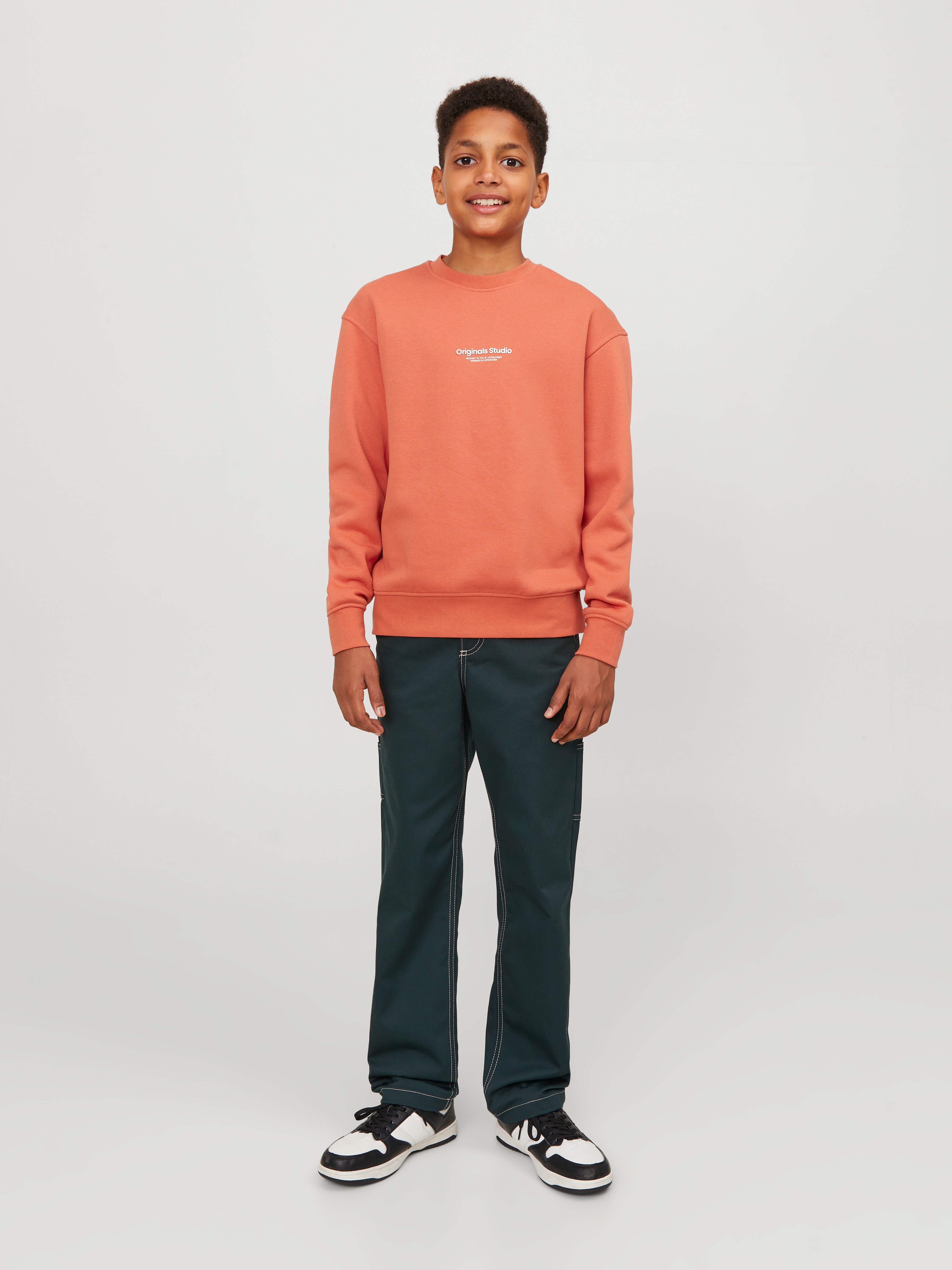 Printed Crew neck Sweatshirt For boys