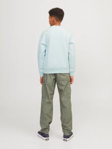 Jack & Jones Bedrukt Sweatshirt met ronde hals Voor jongens -Skylight - 12242471