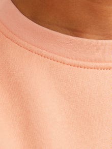 Jack & Jones Bedrukt Sweatshirt met ronde hals Voor jongens -Canyon Sunset - 12242471