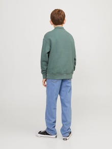 Jack & Jones Printed Zip Sweatshirt For boys -Laurel Wreath - 12242475