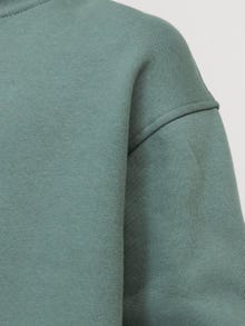 Jack & Jones Printet Sweatshirt med lynlås Til drenge -Laurel Wreath - 12242475