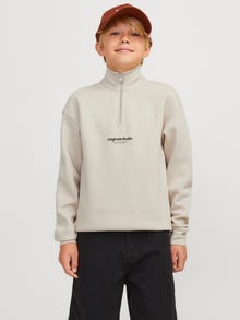 Jack & Jones Printed Zip Sweatshirt For boys -Moonbeam - 12242475