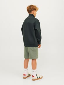 Jack & Jones Printet Sweatshirt med lynlås Til drenge -Forest River - 12242475