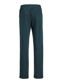 Jack & Jones Joggers For boys -Magical Forest - 12242733