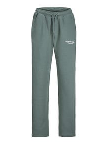 Jack & Jones Pantalones de chándal Relaxed Fit Para chicos -Laurel Wreath - 12242733