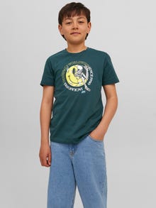 Jack & Jones Printed T-shirt For boys -Magical Forest - 12242739