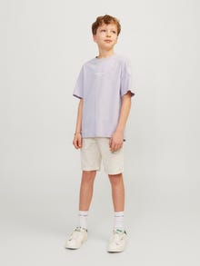 Jack & Jones Printed T-shirt For boys -Lavender Frost - 12242827