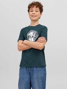 Jack & Jones Printed T-shirt For boys -Magical Forest - 12242849