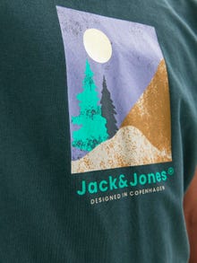 Jack & Jones T-shirt Estampar Para meninos -Magical Forest - 12242872