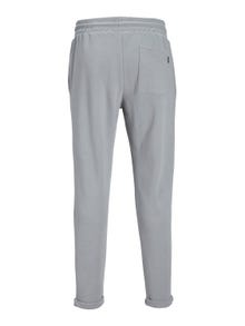 Jack & Jones Loose Fit Prakaituojančios kelnės -Ultimate Grey - 12242938