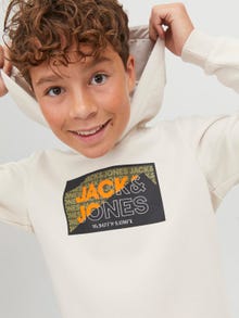 Jack & Jones Logo Hættetrøje Til drenge -Moonbeam - 12242949
